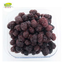 Sweet And Healthy Frozen IQF Blackberry Wholesale Good Color Continue Hot Sale